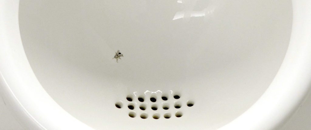 mouche dans un urinoir